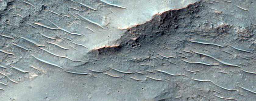 Flow Ejecta From Large Crater in Savich Crater Basin