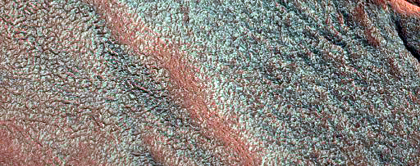 Chasma Boreale Scarp in Springtime