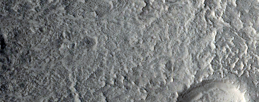 Well-Preserved Gullied Impact Crater in Utopia Planitia
