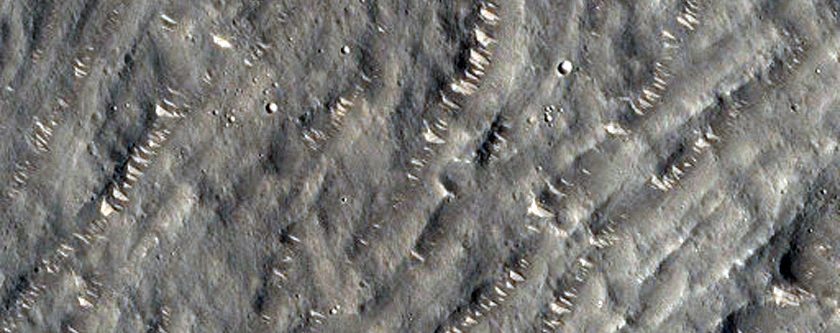 Surface Flow at Bacolor Crater