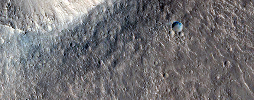 Fresh Crater in Isidis Region
