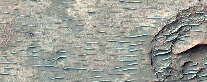 Light-Toned Patch on Crater Floor