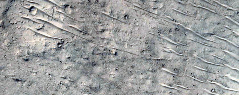 Central Peak of Large Well-Preserved Crater