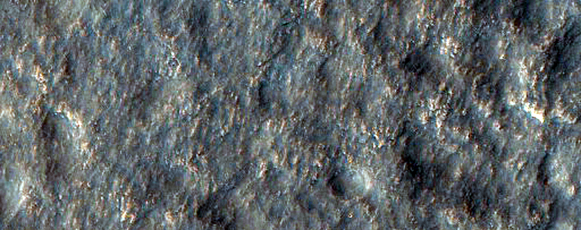 Basketball Terrain