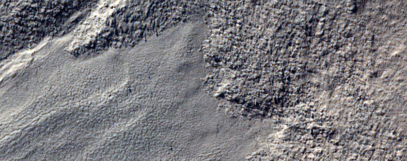 Gullies in a Crater