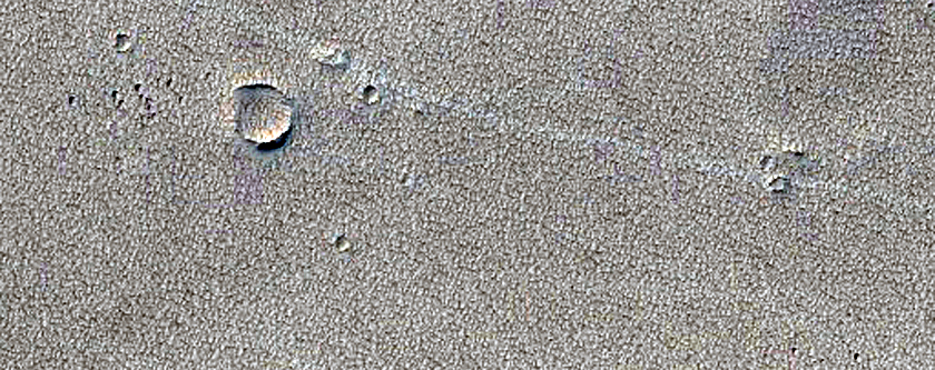 Fresh Impact Formed between January 2005 and December 2007