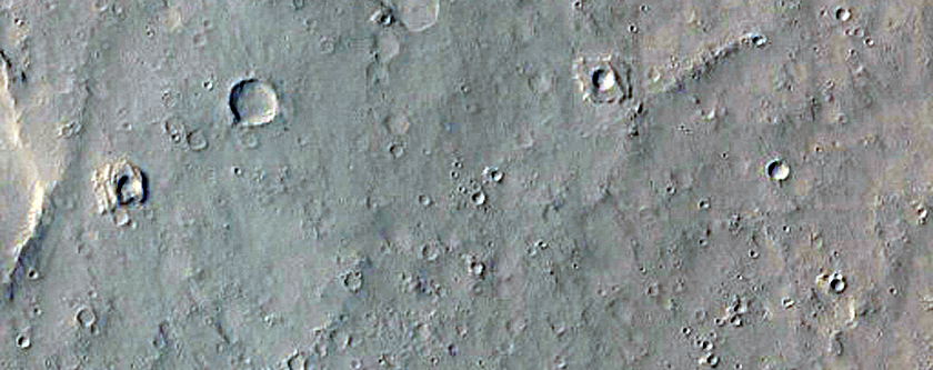 Ridges and Grooves on Rafted Plates in Amazonis Planitia