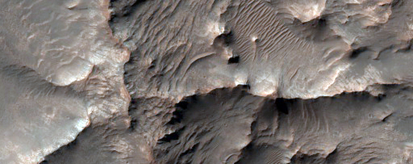 Layered Outcops and Indurated Fractures in Terra Sirenum
