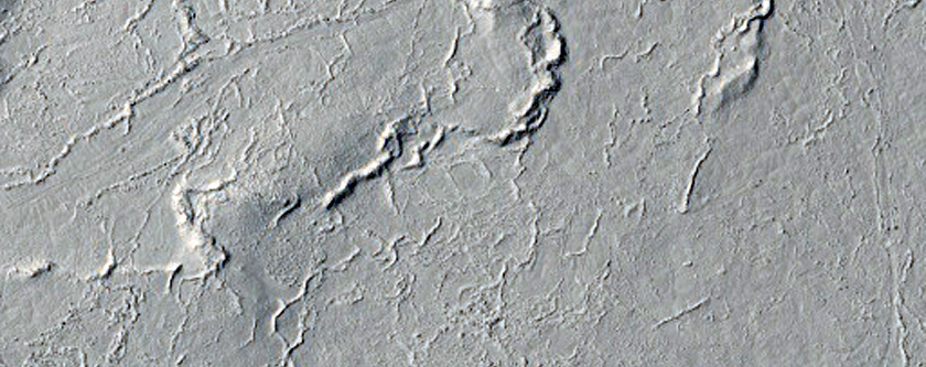 Wrinkle Ridges in Western Elysium Planitia