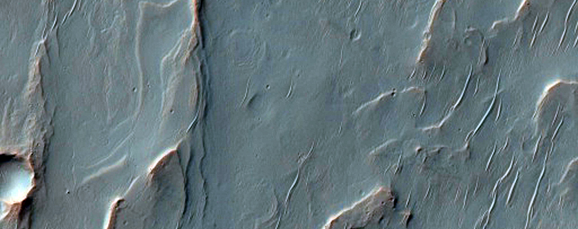 Alluvial Fan with Distributary Channels in Positive Relief