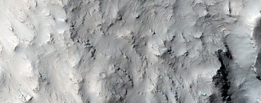Well-Preserved Crater Inside Williams Crater