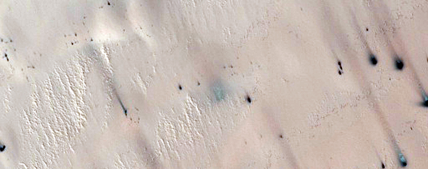 Site with Multi-Toned Defrost Spots to Monitor During Northern Spring