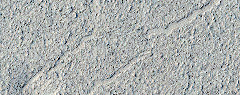 Flow Surfaces and Cones in Amazonis Planitia