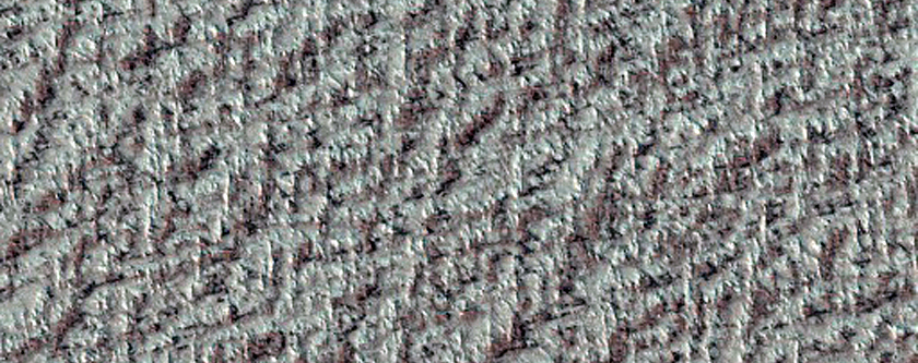 North Polar Region
