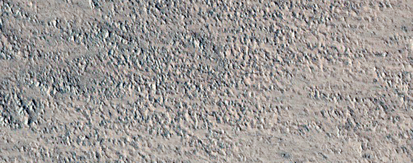 Polar Plains