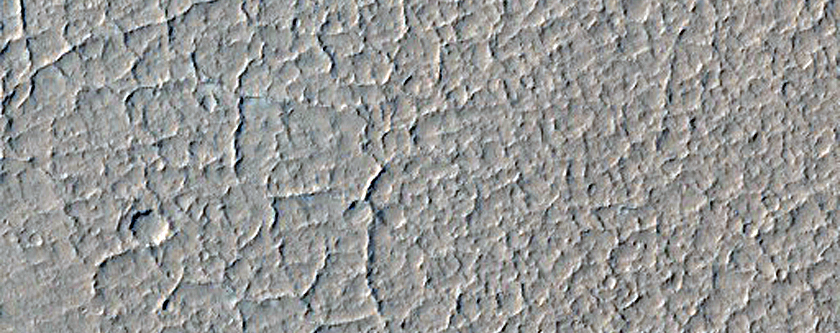 Small Craters in Amazonis Planitia
