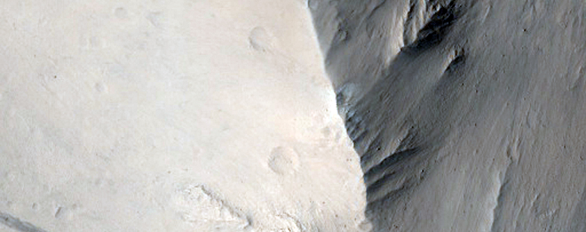 Slope Streaks in the Olympus Mons Aureole