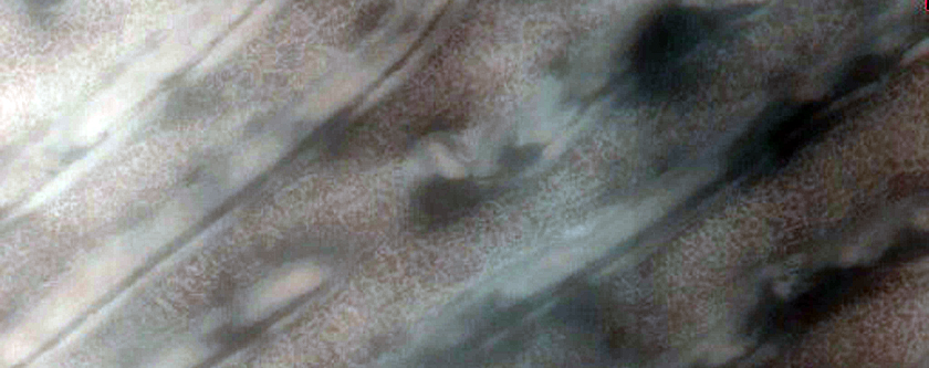 Seasonal Frost on Dunes