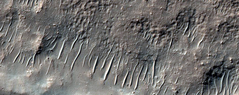 Dissected Mantle Terrain and Concentric Crater Fill