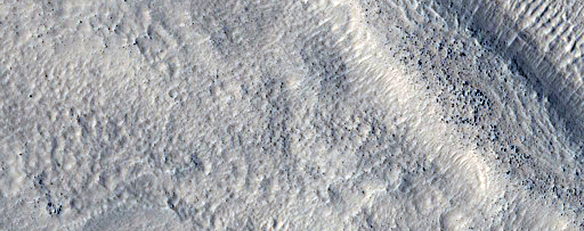 Cluster of Craters in Utopia Planitia