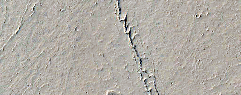 Landforms in Amazonis Planitia