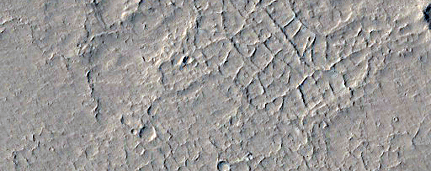 Ring and Cone Structures and Low-Centered Polygons in Amazonis Planitia