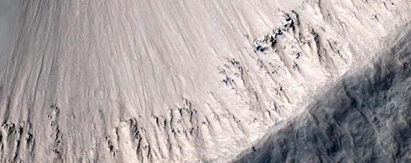Fresh Rayed Crater in Elysium Region
