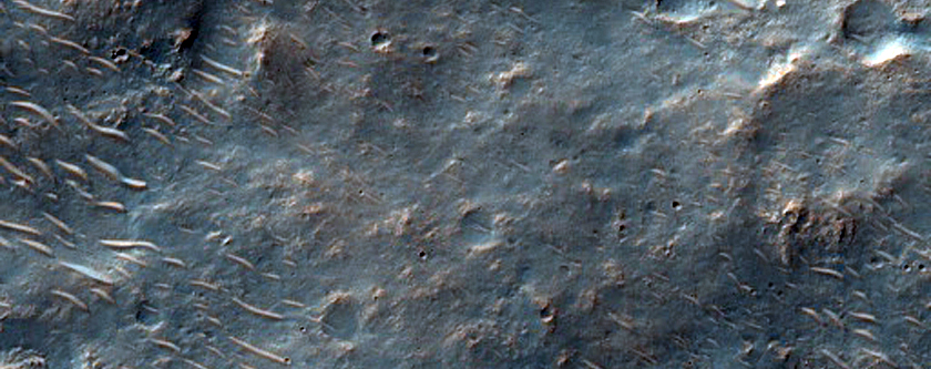 Candidate Landing Site Near Potential Chloride Deposit