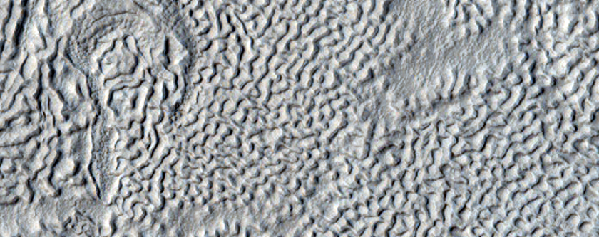 Central Peak Ring of Large Crater