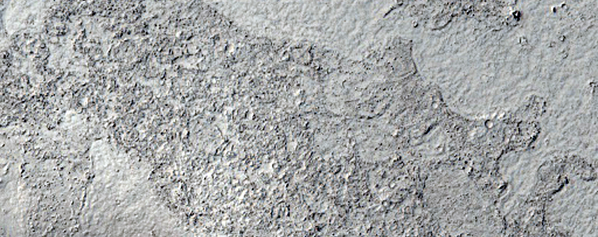 Lava Flow Boundary in Elysium Planitia