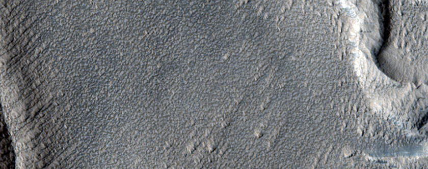 Debris Aprons in Erebus Montes