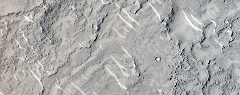Stratigraphy and Lava Flow Margin in Elysium Planitia