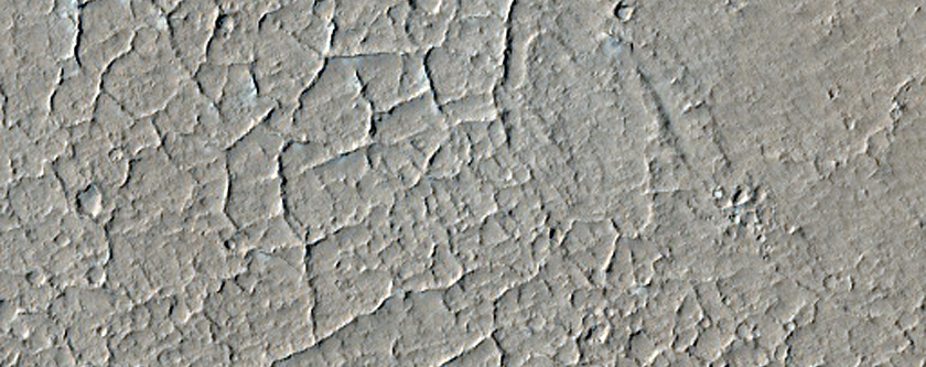 Small Craters in Amazonis Planitia
