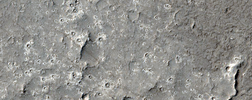 Margin of Platy-Ridged Lava in Western Elysium Planitia