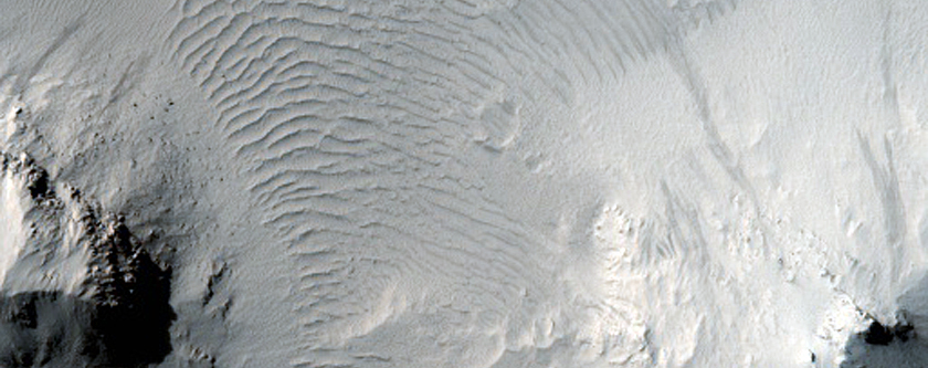 Central Structure of a Well-Preserved 30-Kilometer Crater