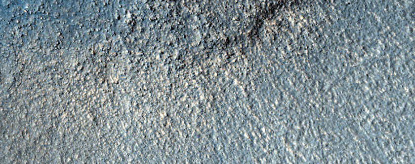 Arcadia Planitia Domes