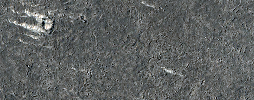 Small Channels in Elysium Planitia