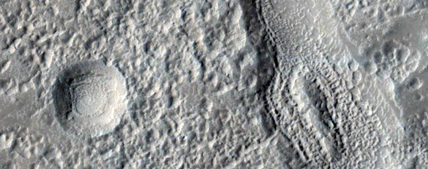 Channels on Cerulli Crater Ejecta