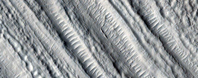 Lineated Valley Fill in Coloe Fossae