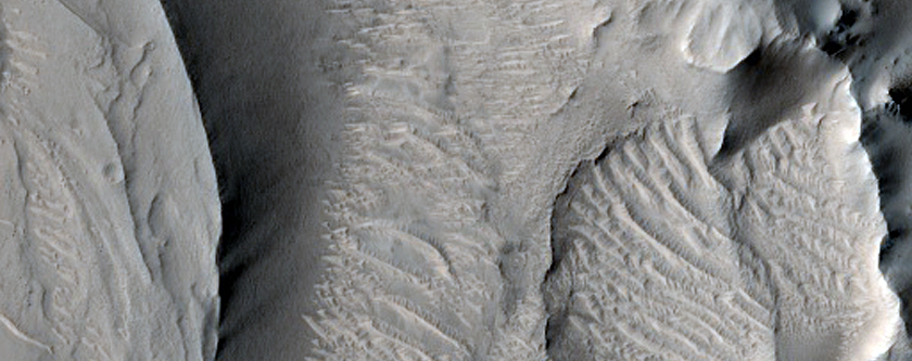 Meander in Auqakuh Vallis with Layered Sediments