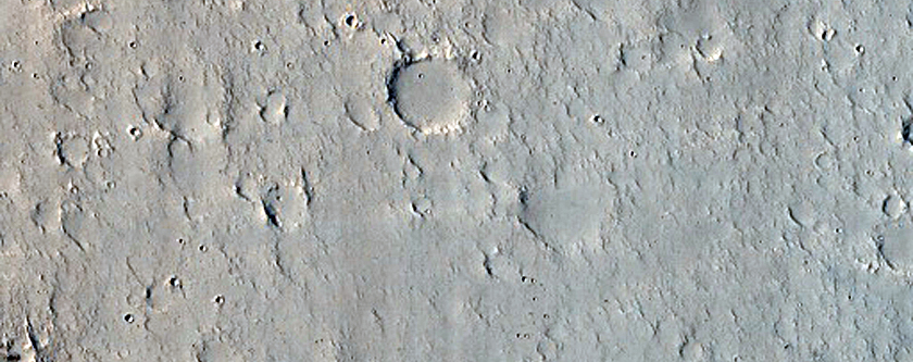 Clusters of Fresh Craters with Bright and Dark Ejecta