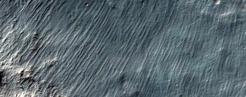 Gullies on Crater Wall