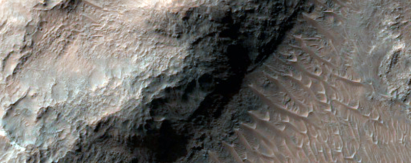 Light-Toned Layers in Ladon Basin