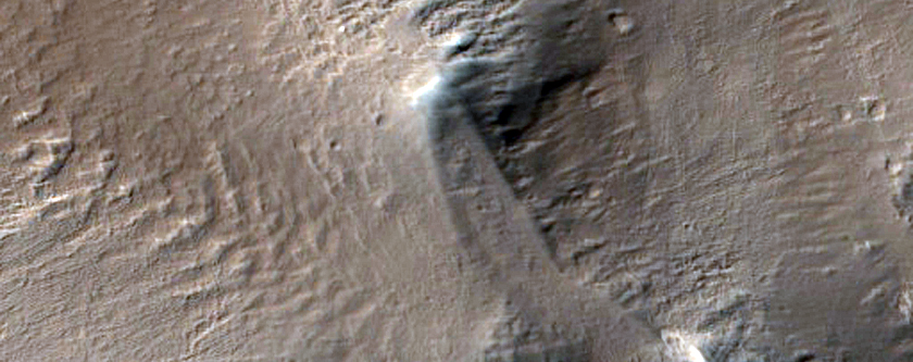 Circular Mesas in the Olympus Mons Aureole