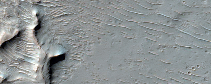 Light-Toned Rock Outcrop in Unnamed Crater Northeast of Hellas Basin