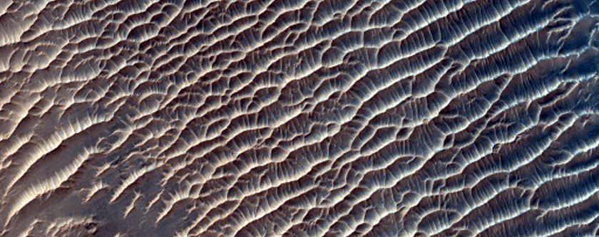 Light-Toned Bedforms Southwest of Schiaparelli Crater