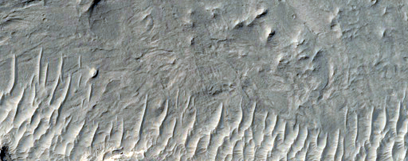Layered Deposit in a Crater in the Arabia Region