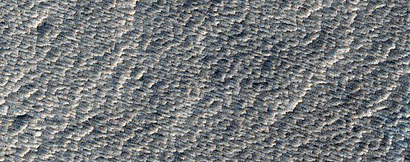 Low Shield South of Pavonis Mons