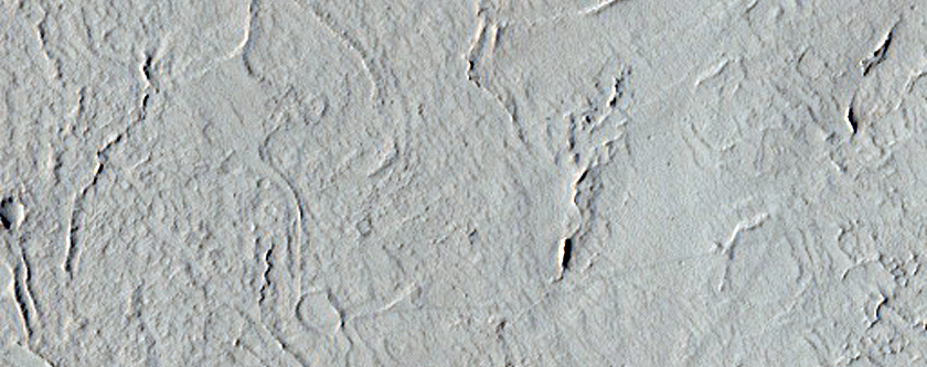 Lava Flow Margin in Amazonis Planitia