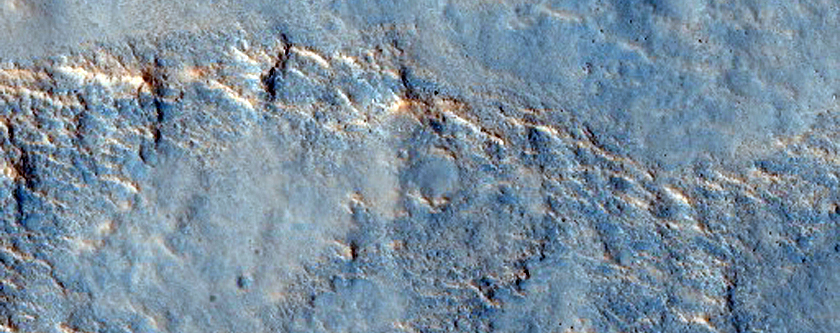 Phyllosilicates in Rocky Region of Acidalia Planitia